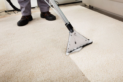 Carpet Cleaning in Haddon Heights NJ 08035